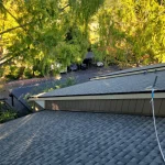 reroofing service under natural overhang in Cotati
