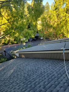 reroofing service under natural overhang in Cotati
