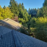Multi Unit Re-Roofing Service in Cotati