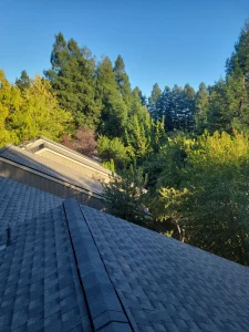 Multi Unit Re-Roofing Service in Cotati