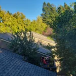 Cotati Multi Unit Complex Reroofing service