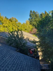 Cotati Multi Unit Complex Reroofing service